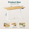 Adjustable Height Electric Sit Stand Up Down Computer Table, 40x24 Inch Ergonomic Rising Desks, Modern Lift Motorized, Natural