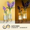 Vase Set for Flowers Plants, Clear Vase with Black Stand, Modern Decorative with Timer LED Lights Battery Operated,(Set of 2)